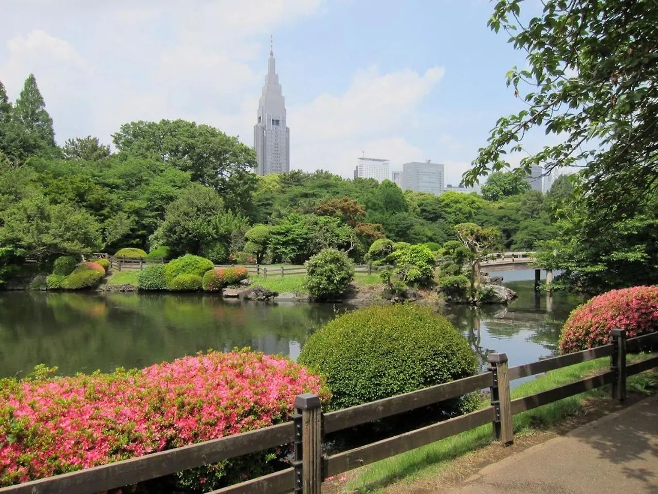 公寓 H2O Stay Shinjuku Matsumotokan #M403 東京都 日本